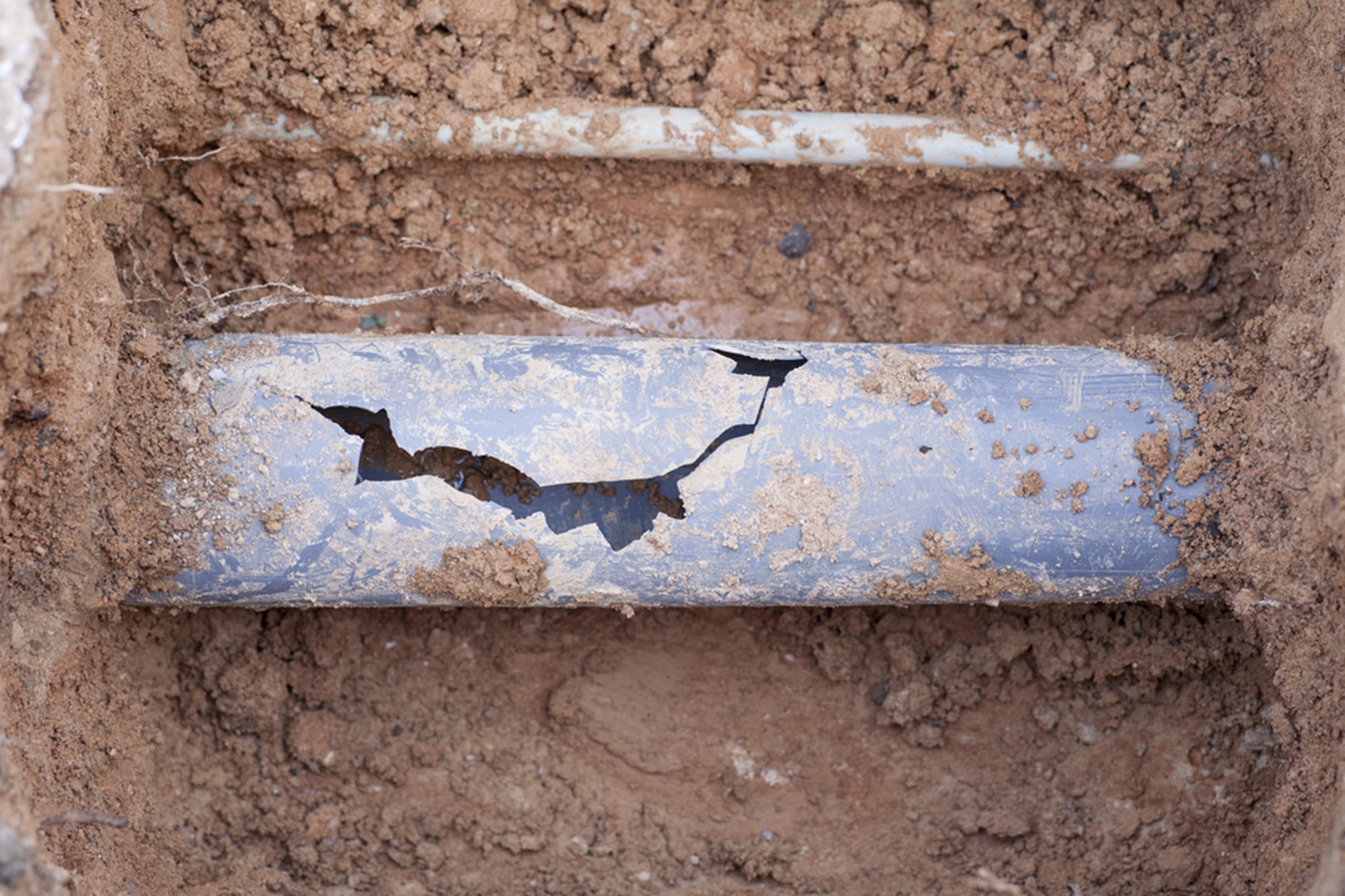 Sewer Line Problem